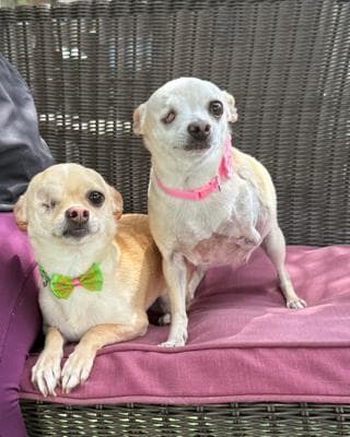 Sissy And Chloe