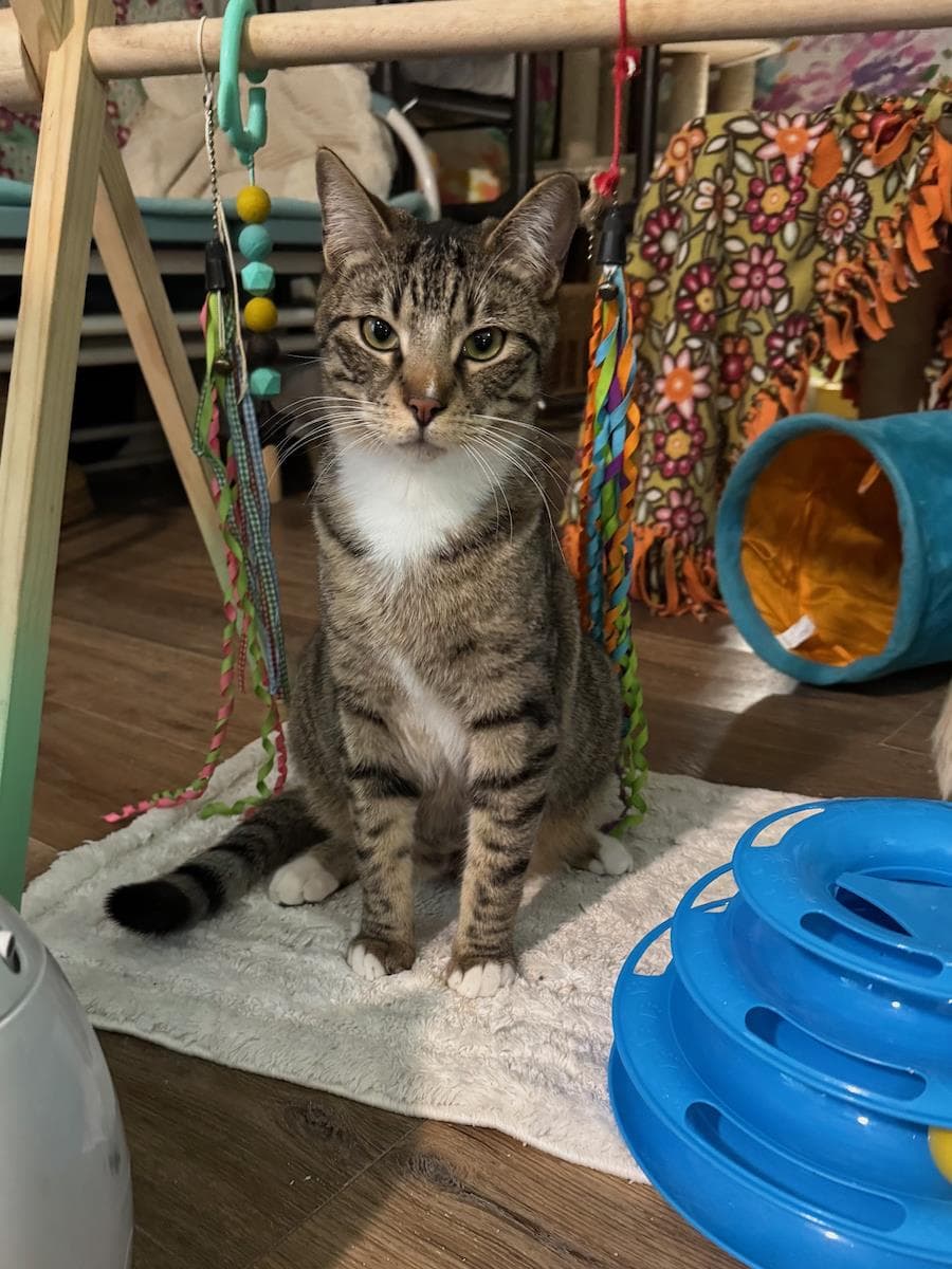 Leo