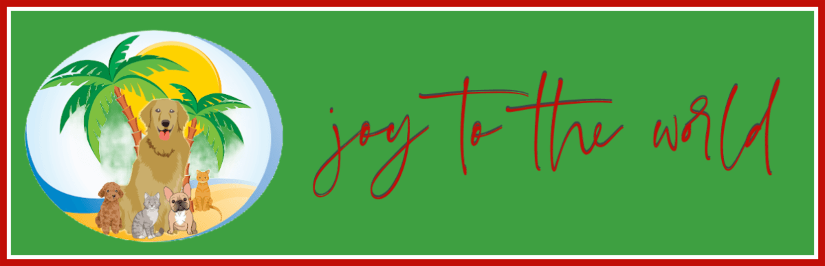 Merry Christmas Newsletter