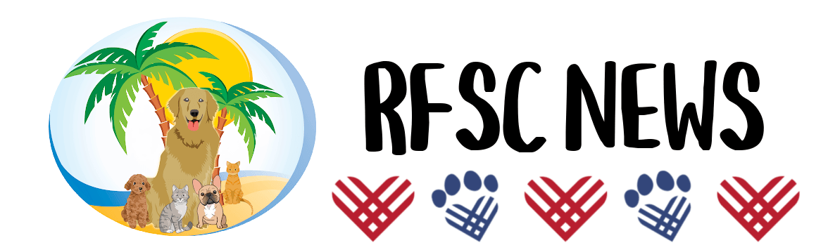 Giving Tuesday